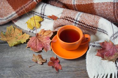 Fincan çay, ekose ve yaprakları ile sonbahar natürmort