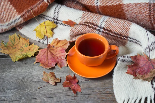 Осенний натюрморт с чашкой чая, клеткой и листьями — стоковое фото