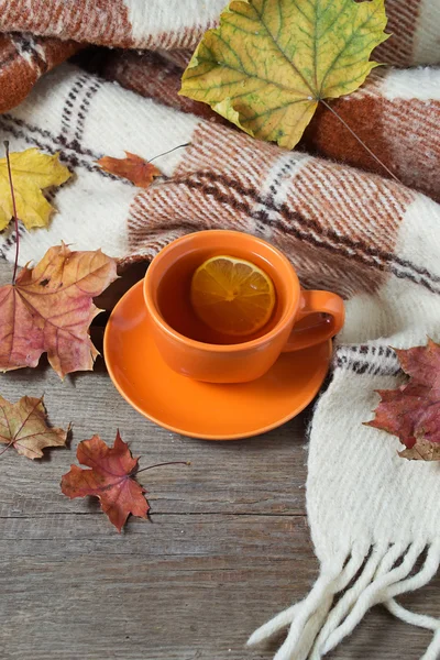 Bodegón de otoño con taza de té, cuadros y hojas — Foto de Stock