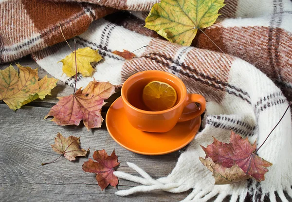 Bodegón de otoño con taza de té, cuadros y hojas — Foto de Stock