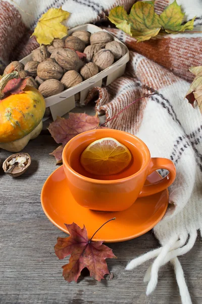 Őszi csendélet, csésze tea, kockás és levelek — Stock Fotó