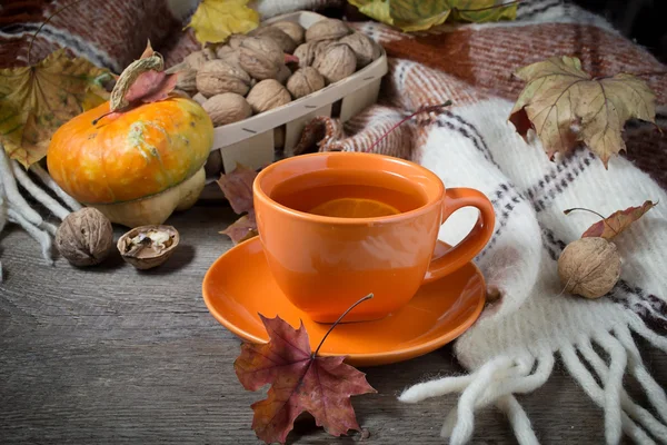 Natura morta autunnale con tazza di tè, plaid e foglie — Foto Stock