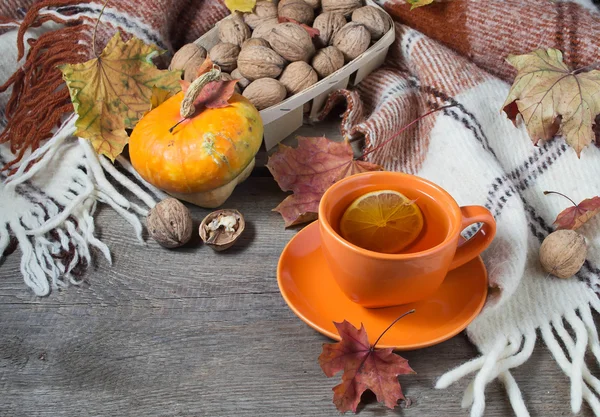 Natura morta autunnale con tazza di tè, plaid e foglie — Foto Stock