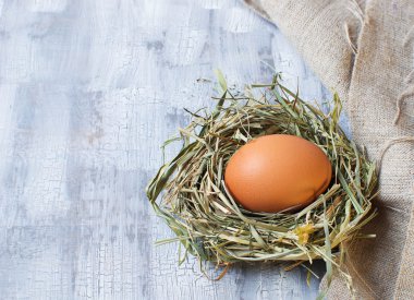 kahverengi yumurta yuva