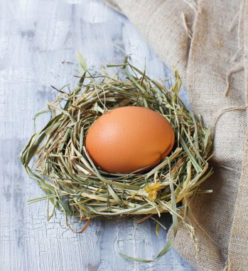 kahverengi yumurta yuva