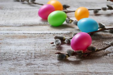 Yumurta ve kedi willows boyalı Paskalya