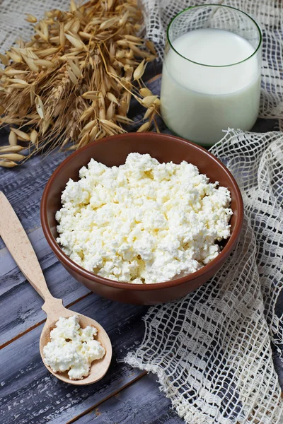 Produits laitiers lait et fromage cottage pour les vacances juives Shavuo — Photo