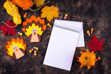 El yapımı hindiyle Şükran Günü geçmişi