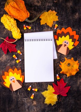 El yapımı hindiyle Şükran Günü geçmişi