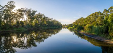 Sakin su yüzeyi günbatımında ağaçları yansıtan manzaralı nehrin geniş manzarası..