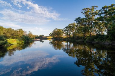 Gün batımında sakin nehirde güzel ağaç yansımaları