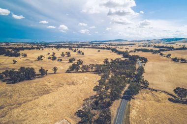 Kırsal yol Avustralya 'daki sarı tarlalardan ve yuvarlanan tepelerden geçiyor. Hava manzaralı.