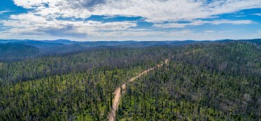 Victoria, Avustralya 'daki orman yangınlarından sonra Karlı Nehir Ulusal Parkı - hava manzarası