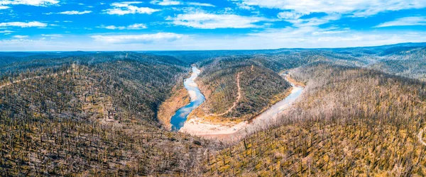 Australischer Wald Regeneriert Sich Nach Buschbränden Luftbild — Stockfoto