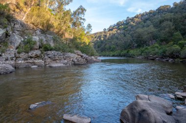 Victoria, Avustralya 'daki Mitchell Nehri