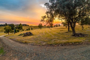 Avustralya 'da gün batımında tarım arazileri