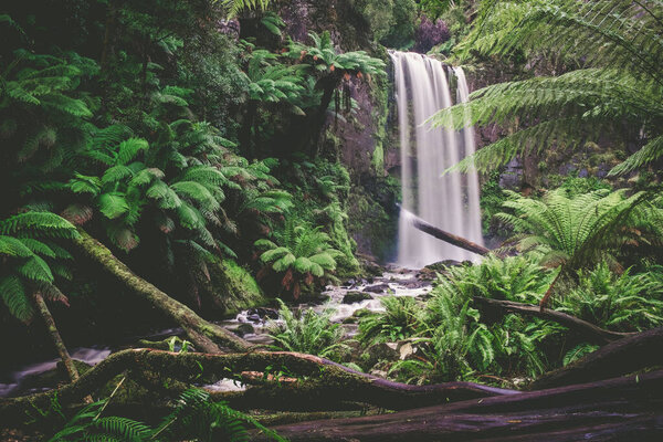 Scenic waterfall in a beautiful rainforest