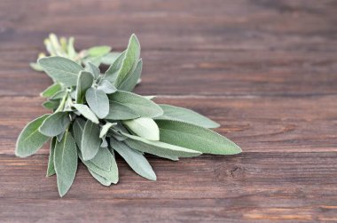 Salvia Memurları. Köy ahşap bir masada taze adaçayı..