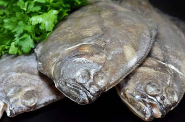 Avrupai ya da yalın