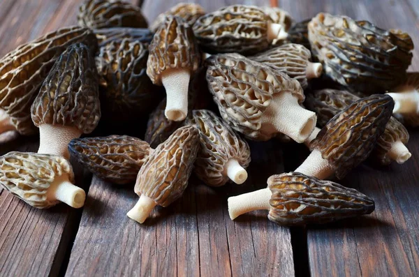 Pile of freshly harvested spring edible morel mushrooms — Stock Photo, Image