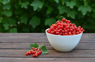 Kırsal bir ahşap masada beyaz bir kasede taze toplanmış frenk üzümü. Organik bahçıvanlık kavramı.