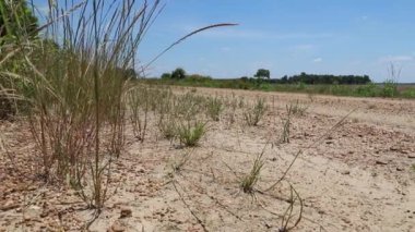 Kamera kulesi tarım arazisi ve çakıl yolunu ortaya çıkarmak için hareket ediyor