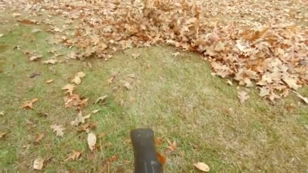 ブロワーのPovは 遅い動きで庭に葉を吹いている 120Fps — ストック動画