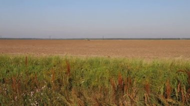 Mississippi 'nin kırsal kesimlerinde sabah güneşinde tarım arazisi ve traktör