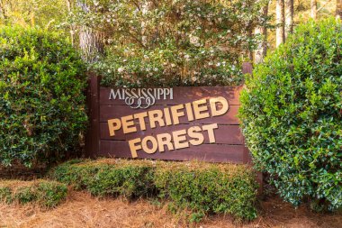 Flora, MS / USA - 24 Kasım 2020: Mississippi Taşlaşmış Orman Girişi işareti