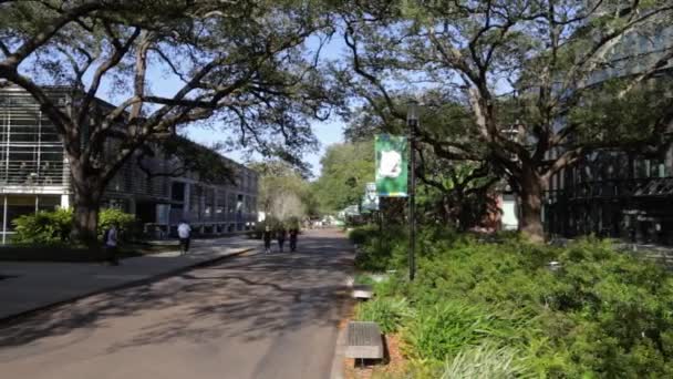 New Orleans Januari 2021 Tulane Universitets Logotyp Banderoller Campus — Stockvideo