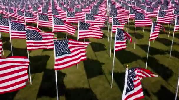 Champ plein de drapeaux américains agitant dans le vent — Video