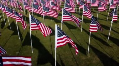 Rüzgarda dalgalanan Amerikan bayraklarıyla dolu