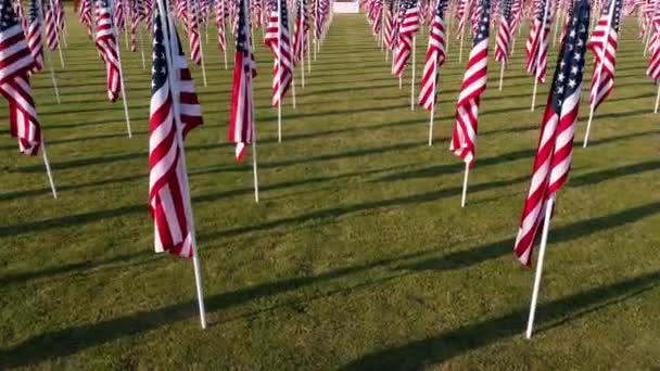 Écran plein de drapeaux américains — Video