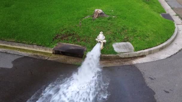 Agua Que Fluye Boca Incendios Abierta — Vídeo de stock