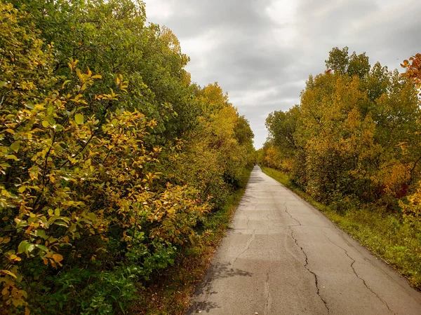 Belle Piste Cyclable Pédestre Bordée Arbres Automne Dans Forêt Assiniboine — Photo