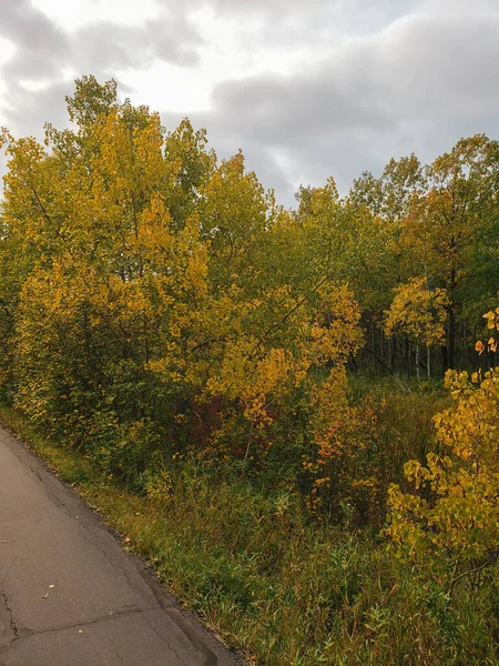Bela Trilha Bicicleta Arborizada Outono Assiniboine Forest Winnipeg Manitoba Canadá — Fotografia de Stock