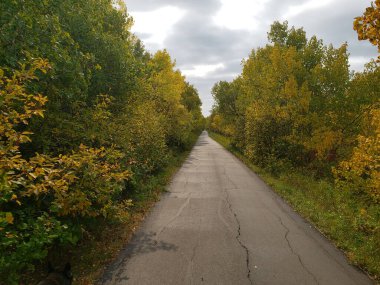Winnipeg, Manitoba, Kanada 'daki Assiniboine Ormanı' nda sonbaharda ağaçlarla kaplı güzel bir patika.