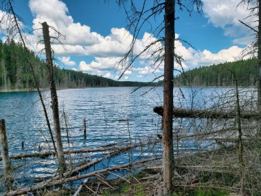Duck Mountain Provincial Park, Manitoba, Kanada 'da yaz boyunca Blue Lakes Yürüyüş Patikası' nda güzel bir manzara.