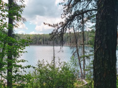 Duck Mountain Provincial Park, Manitoba, Kanada 'da yaz boyunca Blue Lakes Yürüyüş Patikası' nda güzel bir manzara.