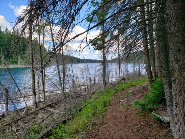 Schöne Aussicht Auf Den Blue Lakes Wanderweg Sommer Duck Mountain — Stockfoto