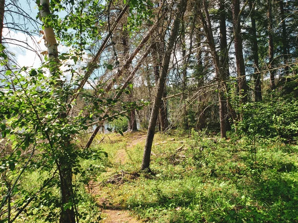 Bela Vista Sobre Trilha Caminhadas Dos Lagos Azuis Durante Verão — Fotografia de Stock