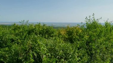 Manitoba, Kanada 'daki Riding Mountain Ulusal Parkı' ndan bir gözcü görüntüsü