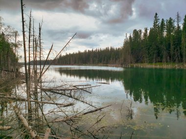 Yazın Blue Lakes, Duck Mountain Provincial Park, Manitoba, Kanada 'da Parlayan Taş Yürüyüş Yolu' nda güzel bir manzara.