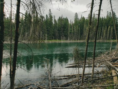 Yazın Blue Lakes, Duck Mountain Provincial Park, Manitoba, Kanada 'da Parlayan Taş Yürüyüş Yolu' nda güzel bir manzara.