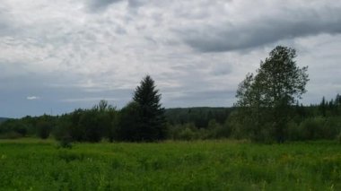 Duck Mountain Provincial Park, Manitoba, Kanada 'daki Shell River Valley Hiking Patikası' nda sağdan sola doğru iz sürüyorum.