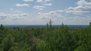Duck Mountain Provincial Park, Manitoba, Kanada 'daki Baldy Mountain Gözlem Kulesi' nden ağaçların manzarası ve manzarası