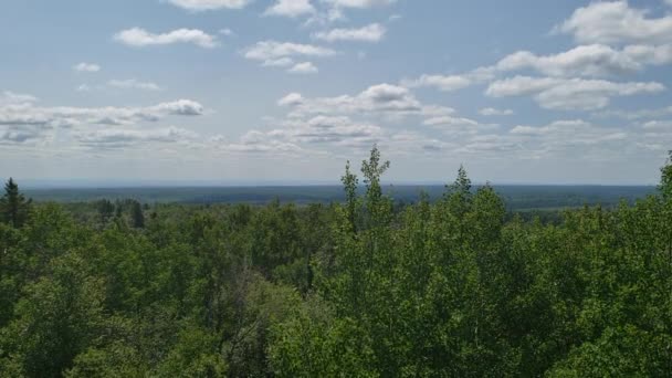 Veduta degli alberi e del paesaggio dalla Baldy Mountain Observation Tower al Duck Mountain Provincial Park, Manitoba, Canada — Video Stock