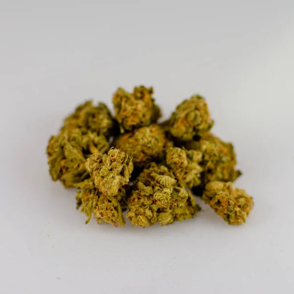 Close Strada Sativa Strain Dry Flower Cannabis Buds Front White — 스톡 사진