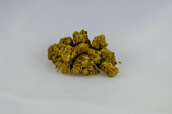 Close Strada Sativa Strain Dry Flower Cannabis Buds Front White — 스톡 사진