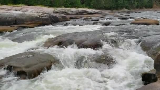 Wildwasserrauschen bei Pabineau Falls, New Brunswick, Kanada — Stockvideo